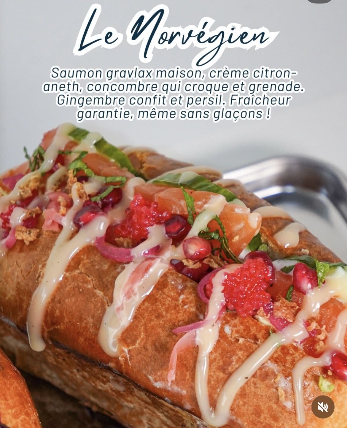 Brioche Le Tentaculaire — Pastagars
